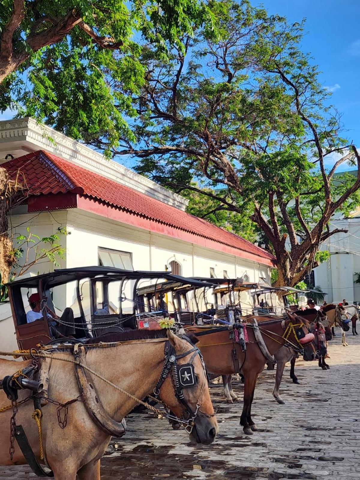 The Orange House - Vigan Villa 외부 사진